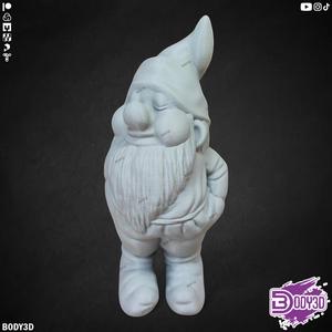 Adorable Gnome