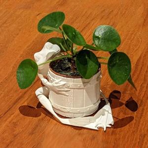Frog holding a plant pot