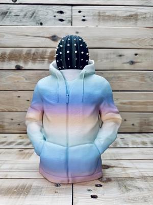 Hoodie with removable barrel cactus head