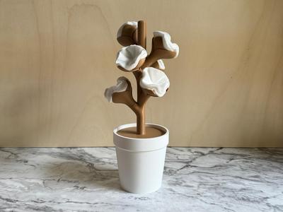 Bloom, cotton pads/tips dispenser.