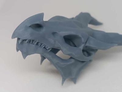 Dragon Skull  RPG/Fantasy Dungeon and Dragon