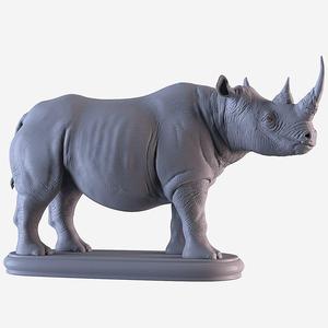 Rhino