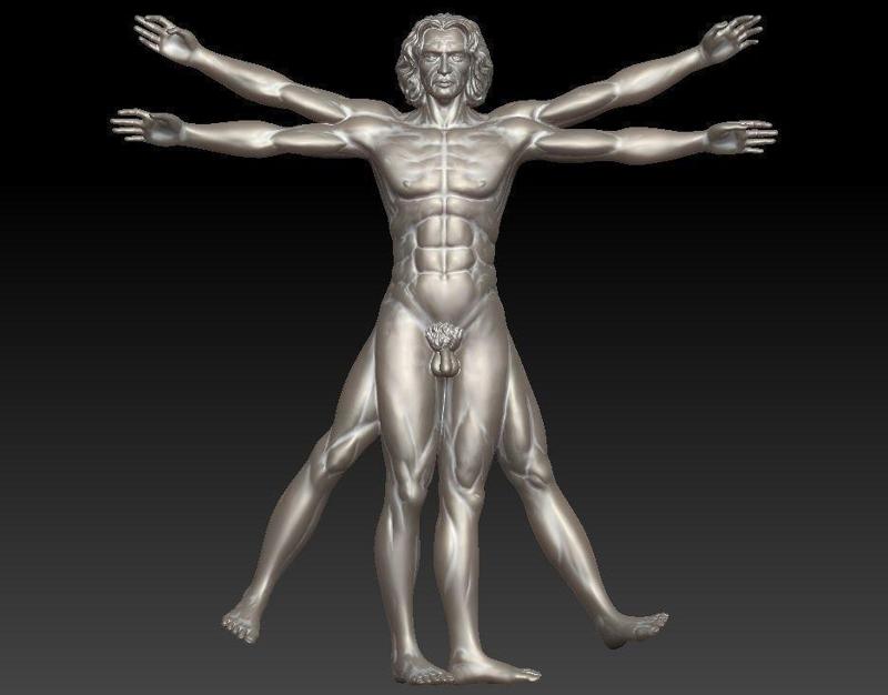 Vitruvian Man  High For 3D Printing