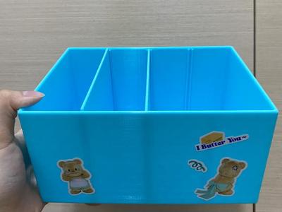 Partitioned Storage Box