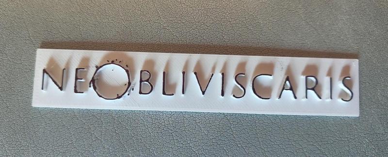 Ne Obliviscaris logo
