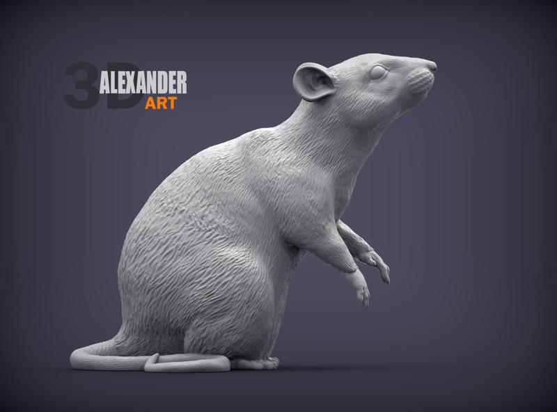 Rat on hind legs