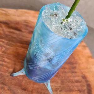 Plant Starter Vase | Rooting Vase