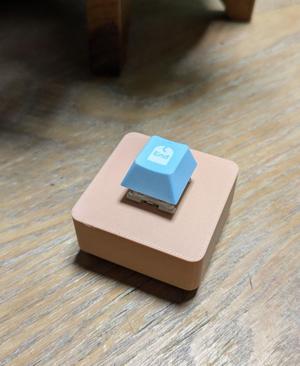 Keyswitch Fidget Toy – Gridfinity