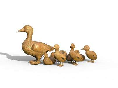 duckling duck