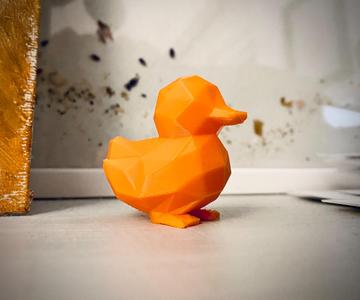 Cute Duck
