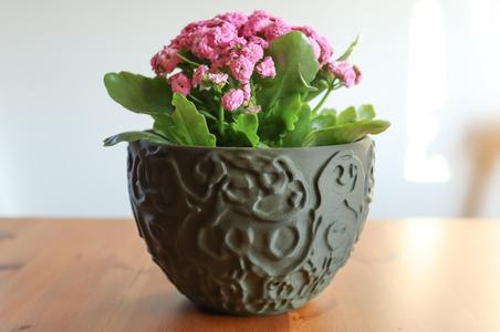 Plant pot Hélios