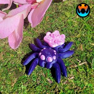 Orchid Tiny Spider