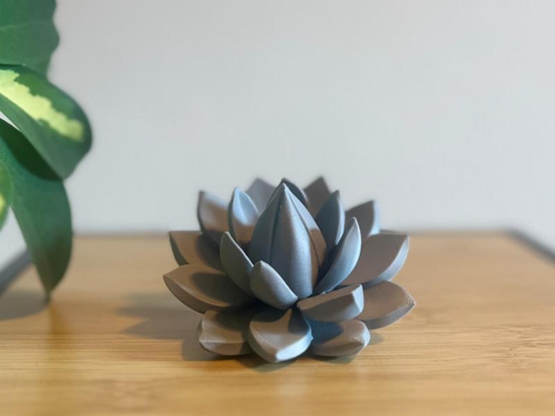 Lotus Flower