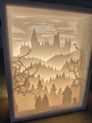 Harry Potter and The Philosopher’s Stone Shadow Box Lamp