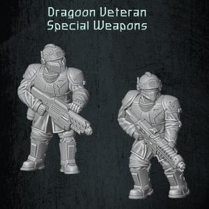 Dragoon Veteran Special Weapons