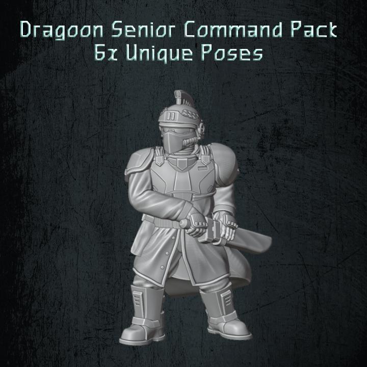 Dragoon Senior Command Pack