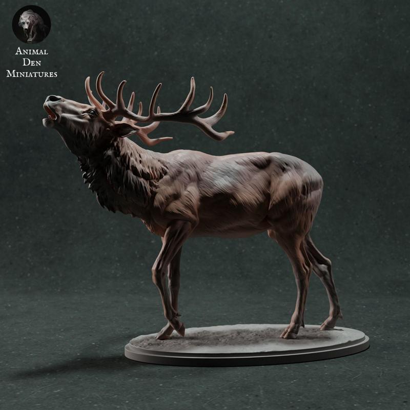 Red Deer Stag Call