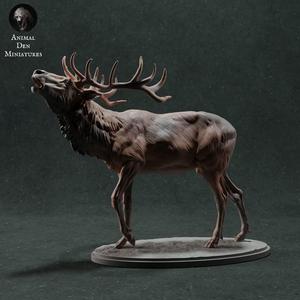 Red Deer Stag Call