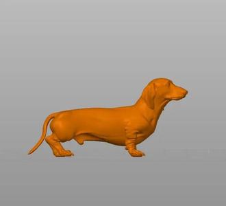 Dachshund - classical version   