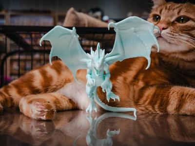 The Suspended Dragon