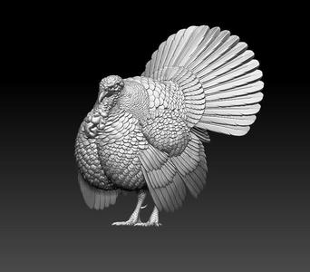 Turkey thanksgiving