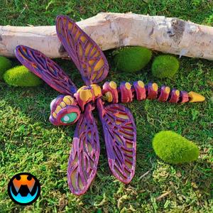 Dragonfly