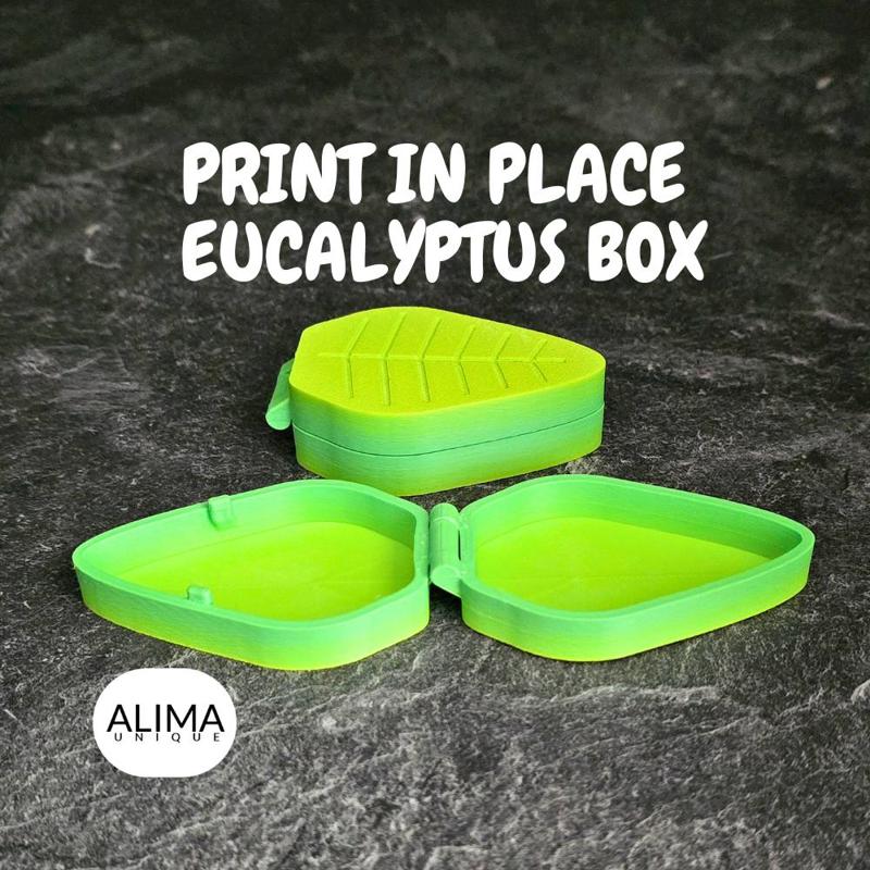 Little Koala with Eucalyptus Box / Articulated Fidget Toy / Support Free