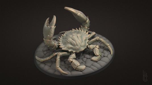 Brave Crab