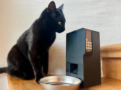 Feedo - the remote controlled feeder   
