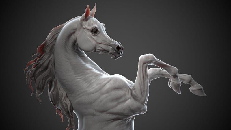 Rearing Arabian horse – 3D Sculpting
