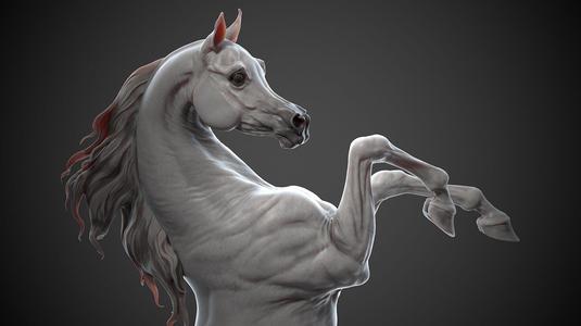 Rearing Arabian horse – 3D Sculpting