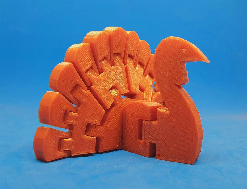 Flexi Turkey