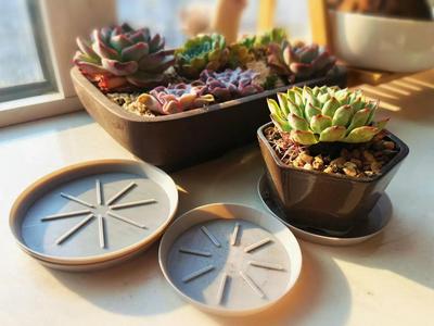 Succulent Pot Tray, Breathable Pot Base, Drip Tray