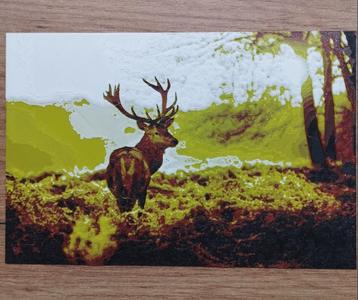 Stag in the forrest Hueforge
