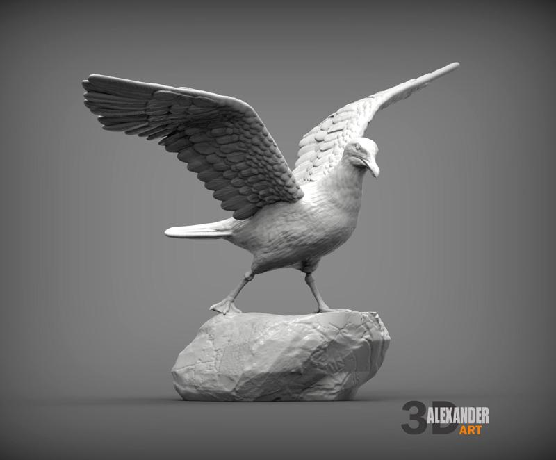 Seagull on the stone