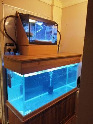 Aquarium Sand reactor