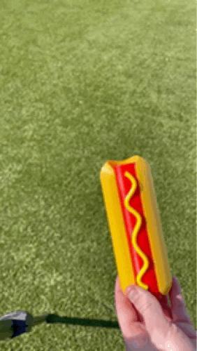 Collapsible Sword Hot Dog – Extendable Sword