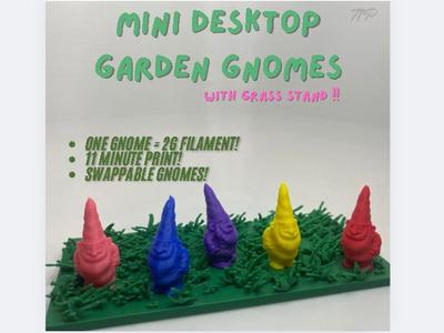 Mini Cute Garden Gnomes + Desktop Display!