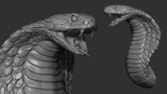 Snake cobra