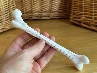 Fidget Femur