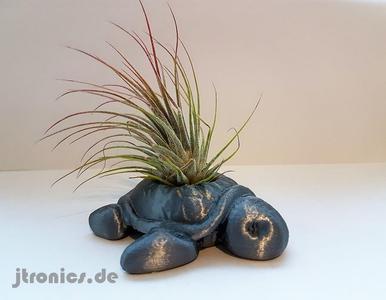Succulent Planter Turtle