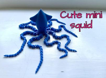 Cute articulated squid