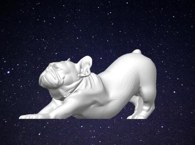 The Downward French Bulldog