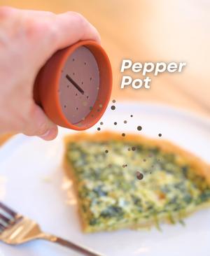 Spikey Spices – Cactus Salt and Pepper Shaker