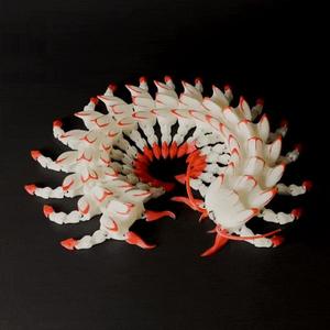 ARTICULATED GIANT CENTIPEDE