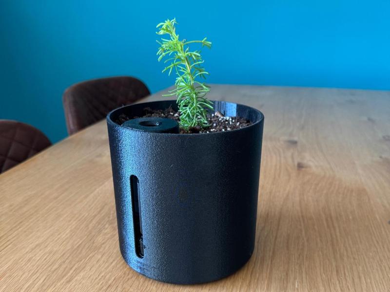 Self-Watering Flower Vase Plant Pot from Spice Jar
