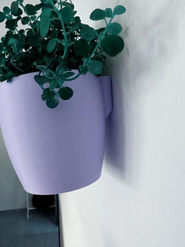 Removable Wall Planter