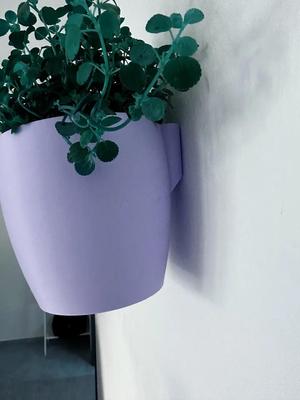 Removable Wall Planter