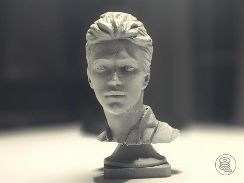 Anakin Skywalker Bust Episode 2