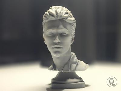 Anakin Skywalker Bust Episode 2